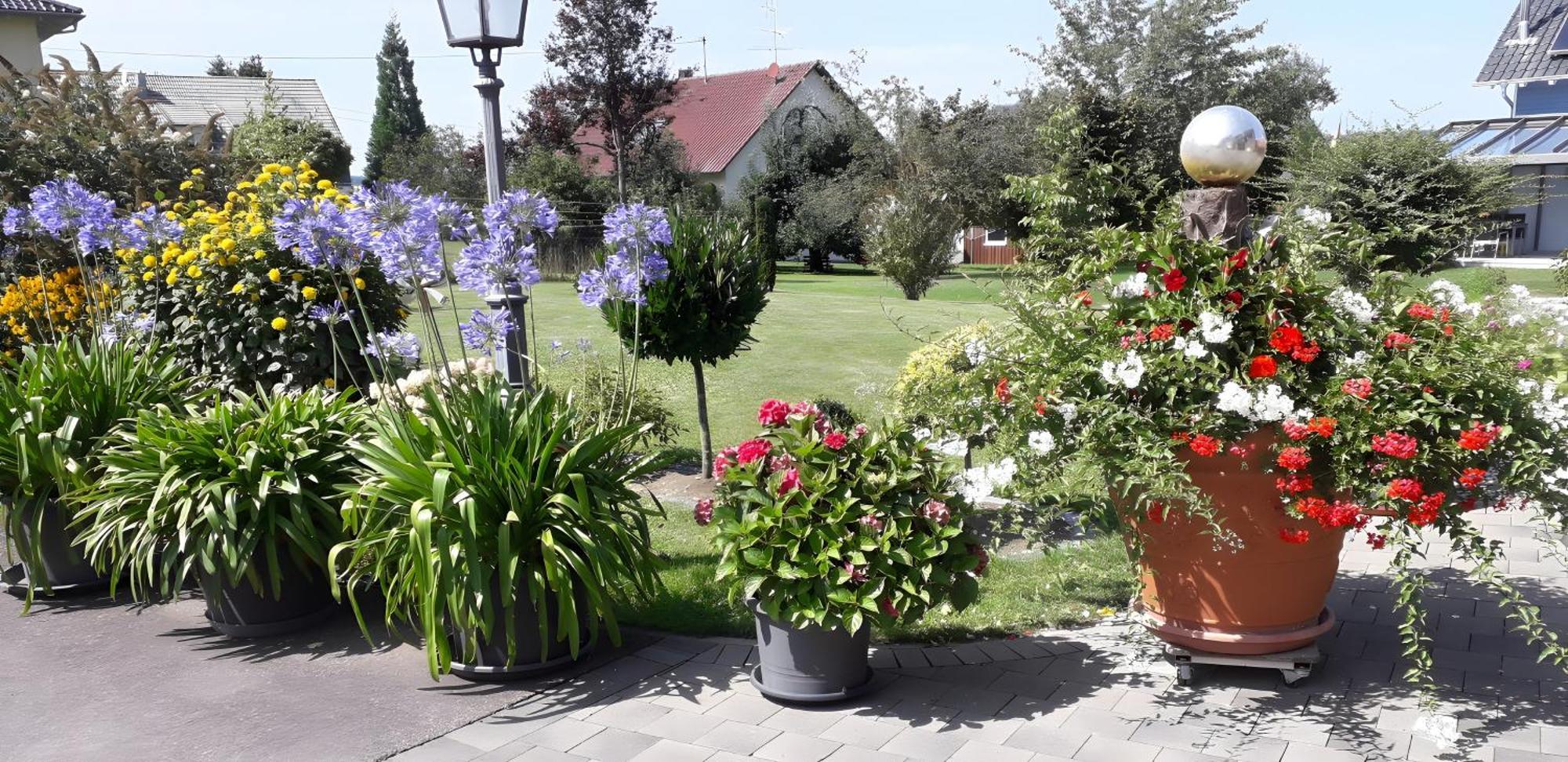 Feriendomizil Berta Benzingen Apartment Winterlingen ภายนอก รูปภาพ